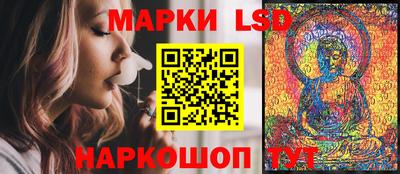 прущие грибы Краснознаменск